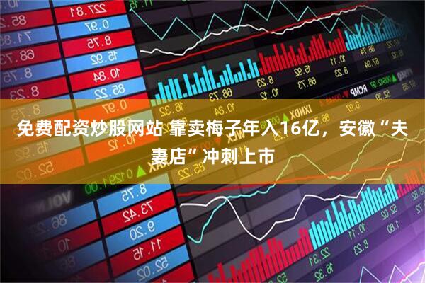 免费配资炒股网站 靠卖梅子年入16亿，安徽“夫妻店”冲刺上市