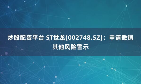 炒股配资平台 ST世龙(002748.SZ)：申请撤销其他风险警示
